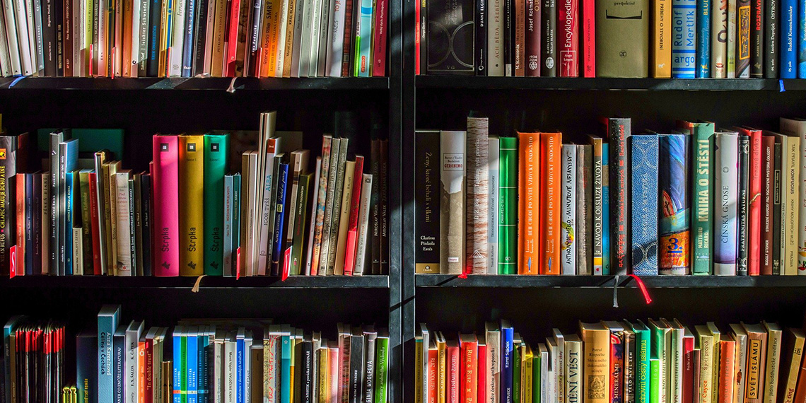 En bokhylla med många böcker i olika färger.